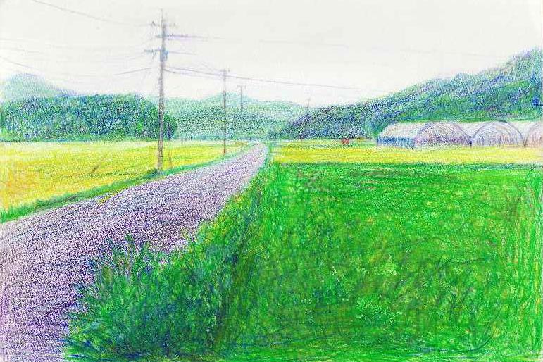  field / 193x287 / color pencil /  
